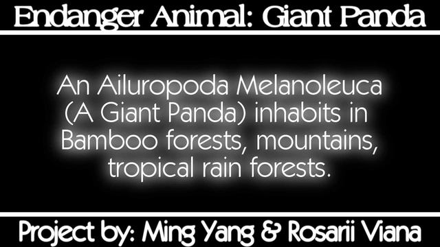 Endanger Animal - Giant Panda смотреть онлайн