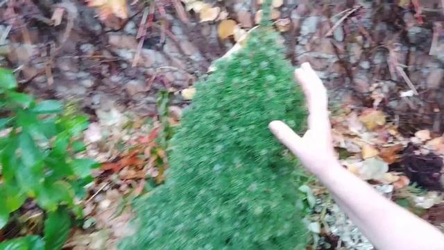 Ремонт потихоньку начинаем.../Погодка ноябрьская смотреть онлайн