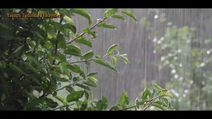 ALLAH'tan GELEN İNCİ (İbretlik Hikayeler,Dini Hikayeler,Kıssa,Eğitici Hikayeler,Sesli Kitap)