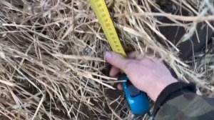 Размеры уличной кормушки для скота