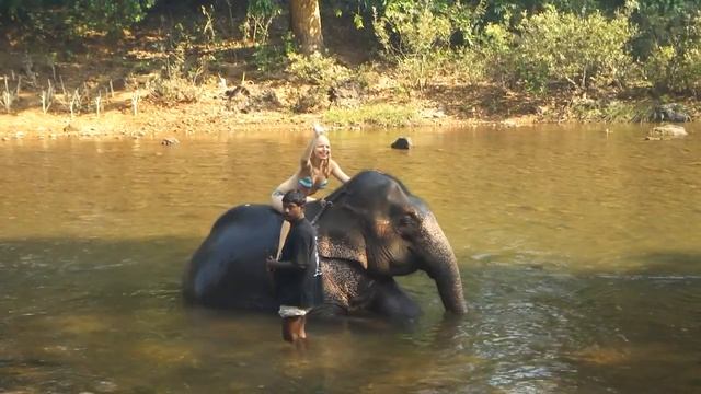 Купание со слоном, девушка верхом на слоне, GOA (ГОА, Индия) смотреть онлайн