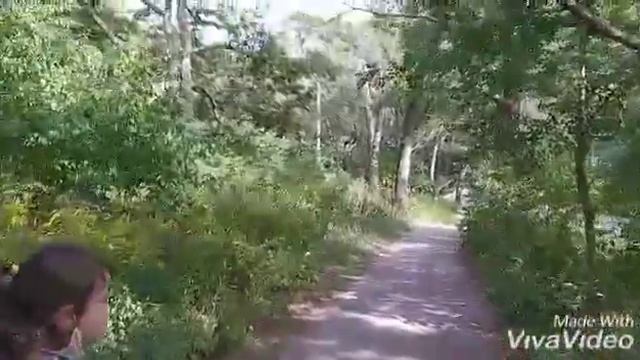 High park playground ТОРОНТО КАНАДА смотреть онлайн