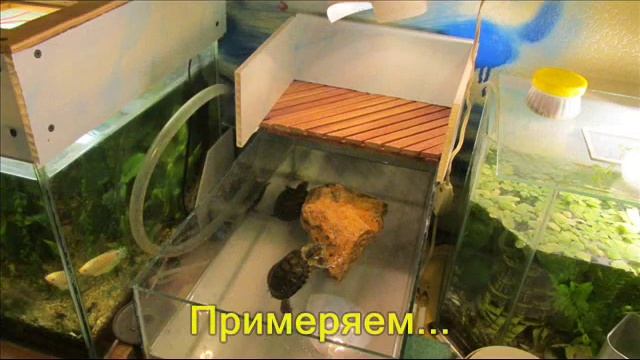 Островок для черепах. Своими руками. смотреть онлайн