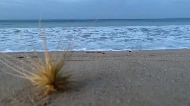 Шум Океана / Медитация/ Релакс / Минута расслабления души и тела смотреть онлайн