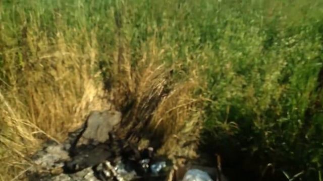 Поход на"пелымский туман", рыбалка мечты смотреть онлайн