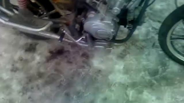 Ямосаки лизард люкс смотреть онлайн