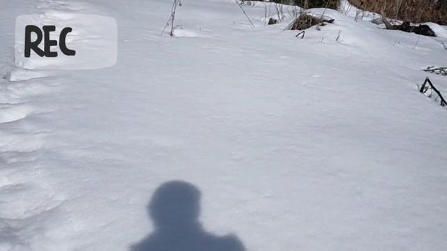 Красоты Архыза | где можно погулять смотреть онлайн