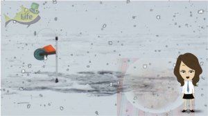 Щука идет на эту прикормку со всего водоема! Как приманить щуку зимой к точке ловли?