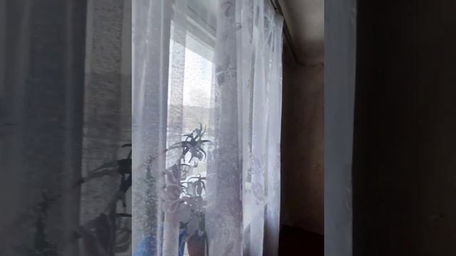 г.Мозырь, Бульвар Дружбы, д.6, 2-х комн. смотреть онлайн