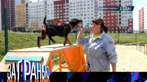 «За гранью»: «Собаки-убийцы?» | Выпуск от 12 сентября 2024 года