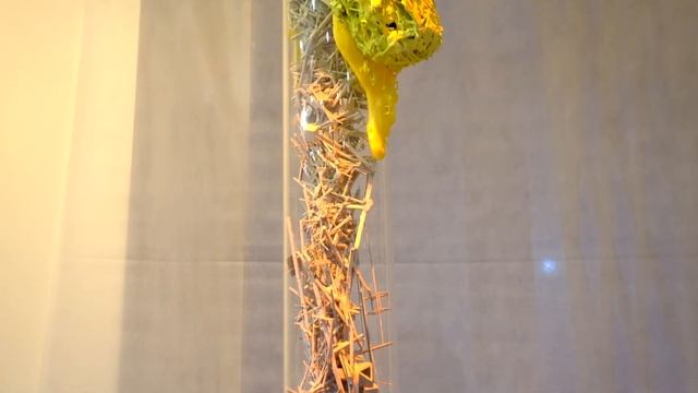 ГОРОД КАК СУБЪЕКТИВНОСТЬ ХУДОЖНИКА #АРТЛИКБЕЗ № 362 смотреть онлайн