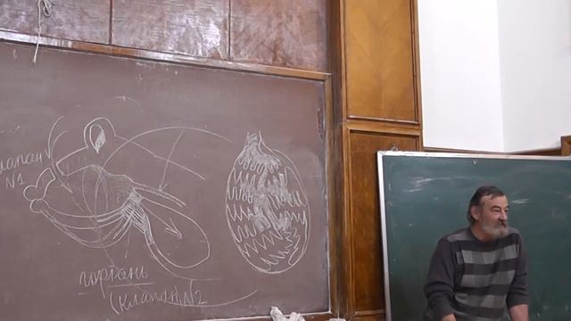 2.6 Газообмен у амфибий смотреть онлайн