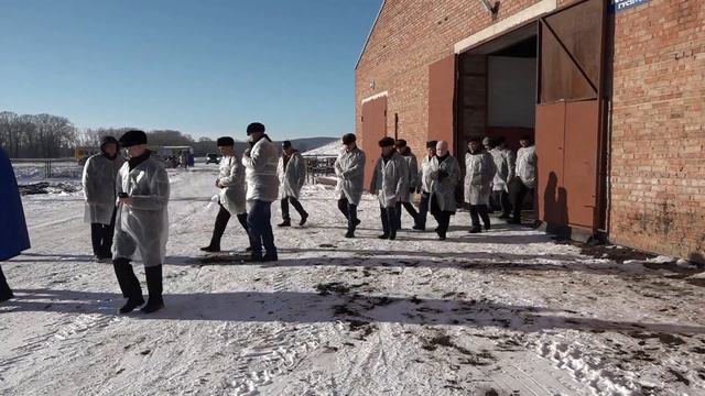 Пути развития. Животноводство. смотреть онлайн