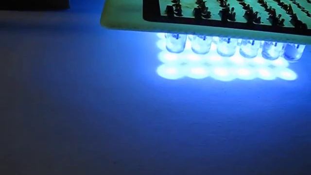 Матрица 1200 светодиодов, проба. смотреть онлайн