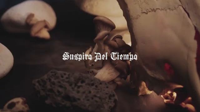 Anexo Leiruk - Suspiro Del Tiempo ft Leazzy x Achelius G x Svspensx YFM.mp4 смотреть онлайн