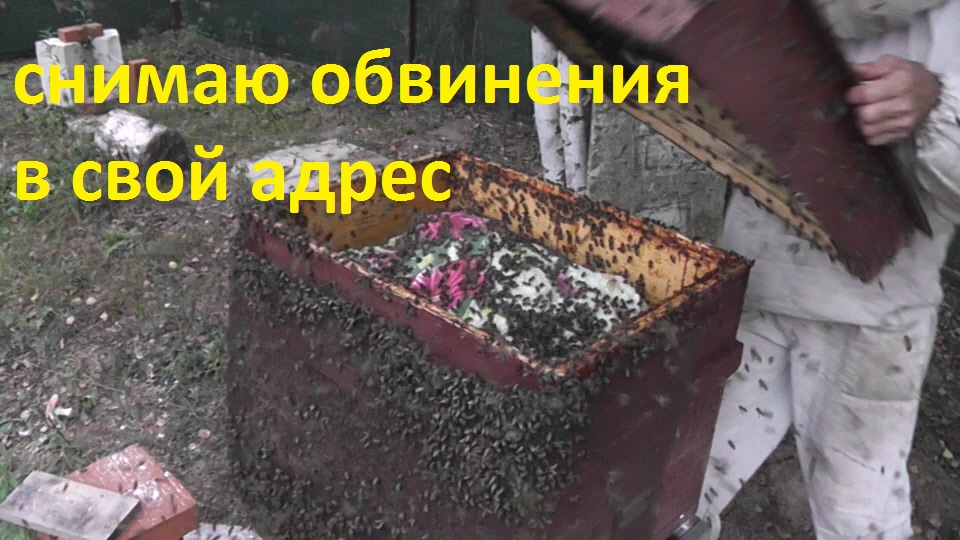 пчелиное воровство у соседа смотреть онлайн