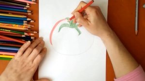 Как нарисовать помидор. Онлайн-школа рисования "Малевашки"