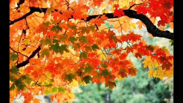 Мой сон. Читает автор Злата Лакоют. смотреть онлайн