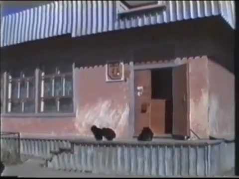 Билибино любительская съемка часть1.mp4