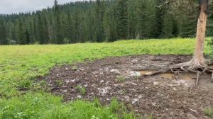 Зил 131 - Бабай. Суровое бездорожье. Горы Хакасии.