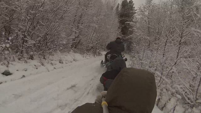 С рыбалки на снегоходе Dingo125 смотреть онлайн