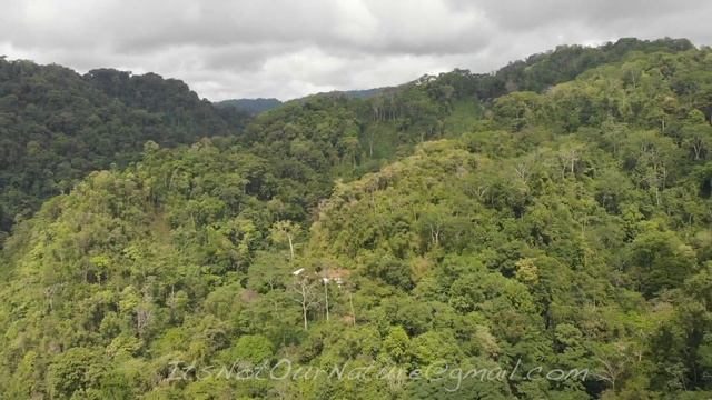 Corcovado National Park смотреть онлайн