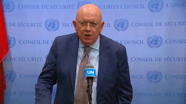 Russia on Palestine - Security Council Media Stakeout | United Nations смотреть онлайн