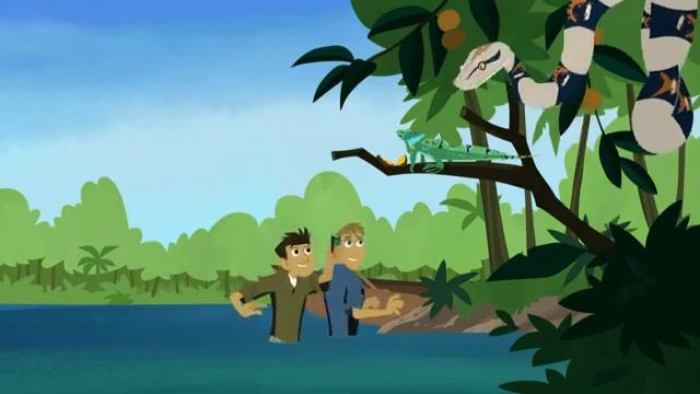 Прогулка по влажной местности . Братья Кратт: Зов Природы. Новая серия. Канал Детишки