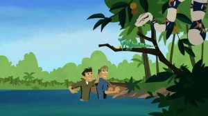 Прогулка по влажной местности . Братья Кратт: Зов Природы. Новая серия. Канал Детишки