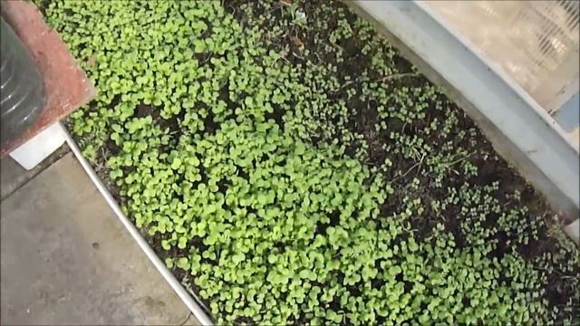 Сегодня нерабочее настроение! смотреть онлайн