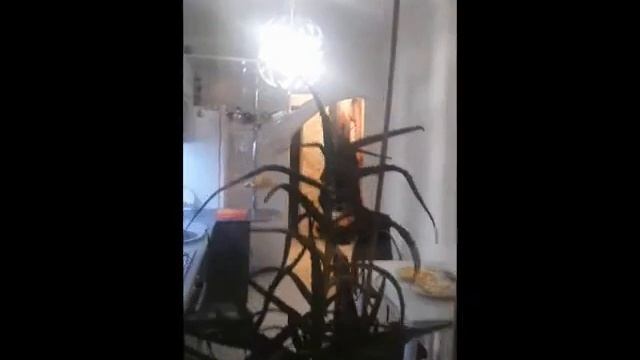 Самое выгодное предложение смотреть онлайн