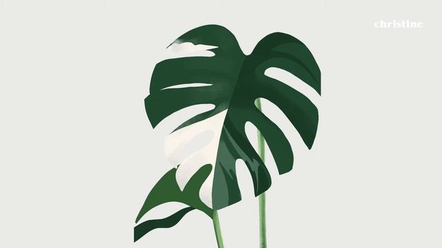 White Monstera Plant Illustration | Procreate Timelapse смотреть онлайн