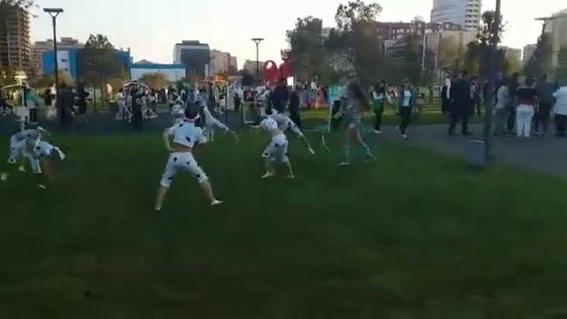 танец собачек??? смотреть онлайн