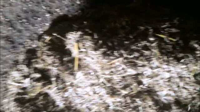 Эко гидролиз - Переработка зерновых отходов - Лузги смотреть онлайн