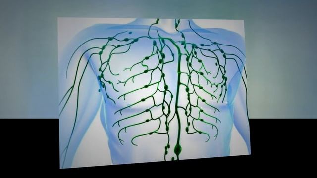 Причины воспаления лифмоузлов.  Симптомы воспаления лимфоузлов.