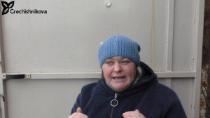 Спорыш для посева в междурядье ежевики и малины