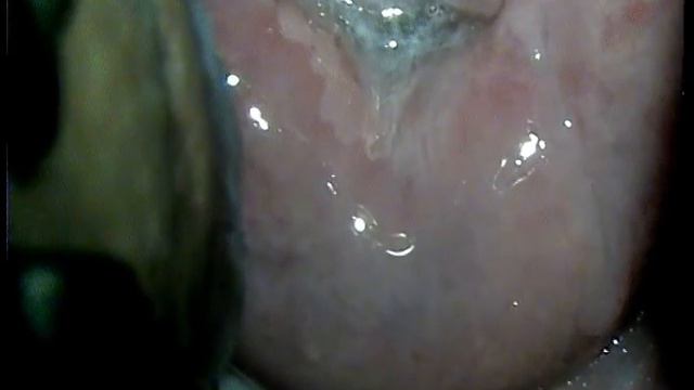 H SIL копия смотреть онлайн