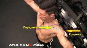 Джефф Кавальер. Тренировка средней дельты. Или не средней?)