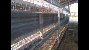 МОЙ ЛЮБИМЫЙ ШЕД ДЛЯ КРОЛИКОВ (читать описание)