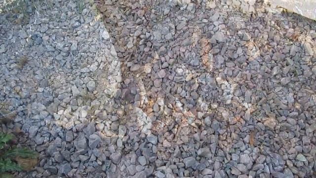 8 способов подкисления почвы для голубики. смотреть онлайн