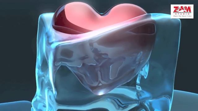 NICUSOR GUTA SI JACKSONA - CE INIMA DE GHEATA + VERSURI, ZOOM STUDIO