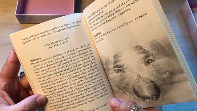 Unboxing The Secret Language Of Light Oracle by Denise Jarvie смотреть онлайн