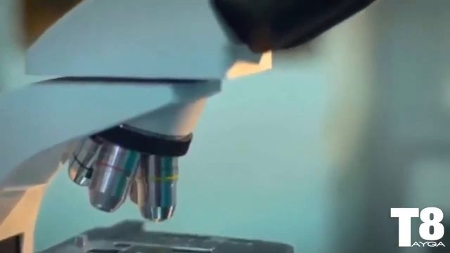 КАК ПРОЖИТЬ 150 ЛЕТ смотреть онлайн