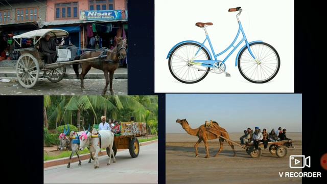 Means of Transport | Class 3 Social Studies | EVS смотреть онлайн
