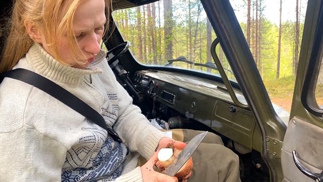 За белыми грибами в Карелии ❤️ белый гриб, летняя опята. Семьей  собираем грибы.