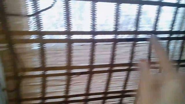 Кони в тюрьме! смотреть онлайн