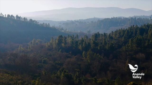 Baba Nam Kevalam || Paradise (Kiirtan) смотреть онлайн