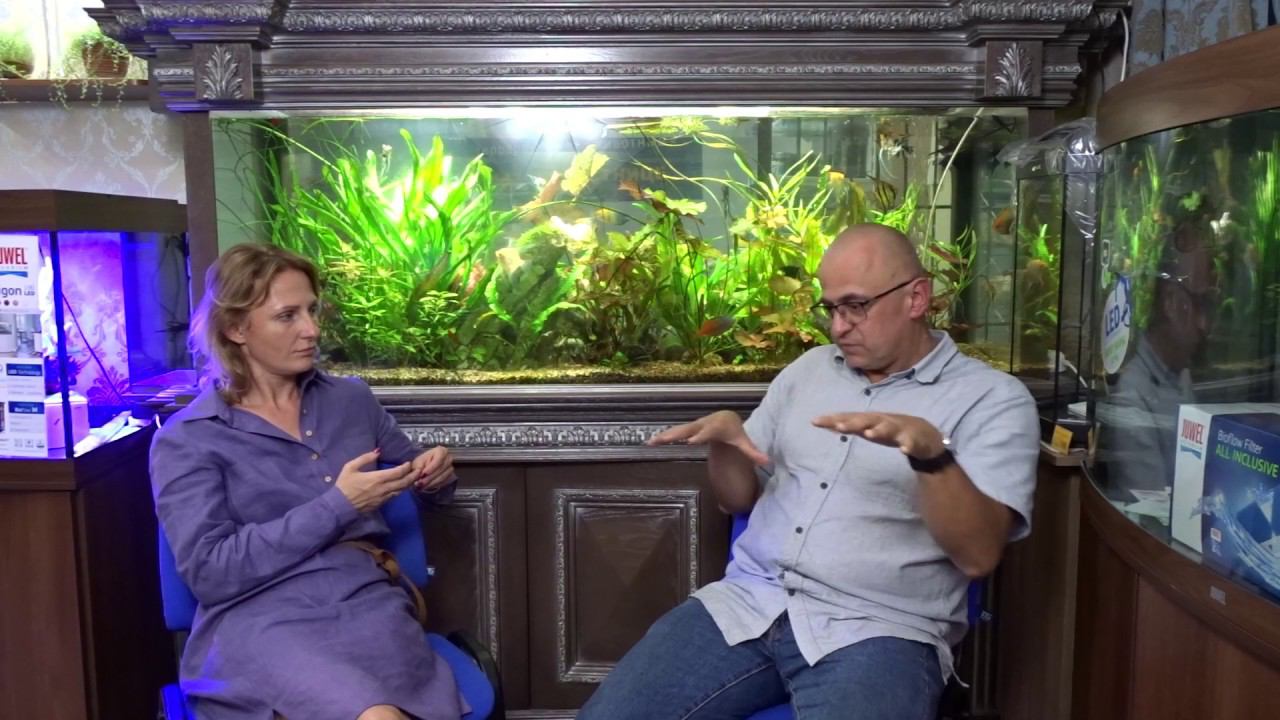 Блиц-интервью с Константином Моршневым. О любимой рыбе и гибнущих кораллах смотреть онлайн