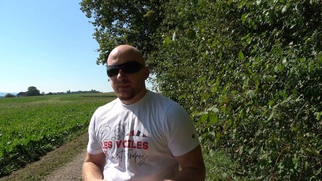 Идеи и Гармония