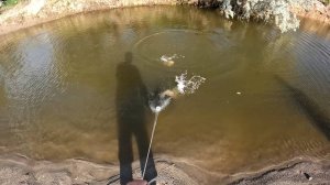 Ловим диких сибирских сазанов